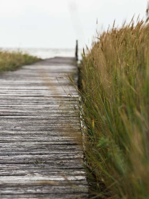 Landschaftsfotografie, Nordsee, Cappel-Neufeld