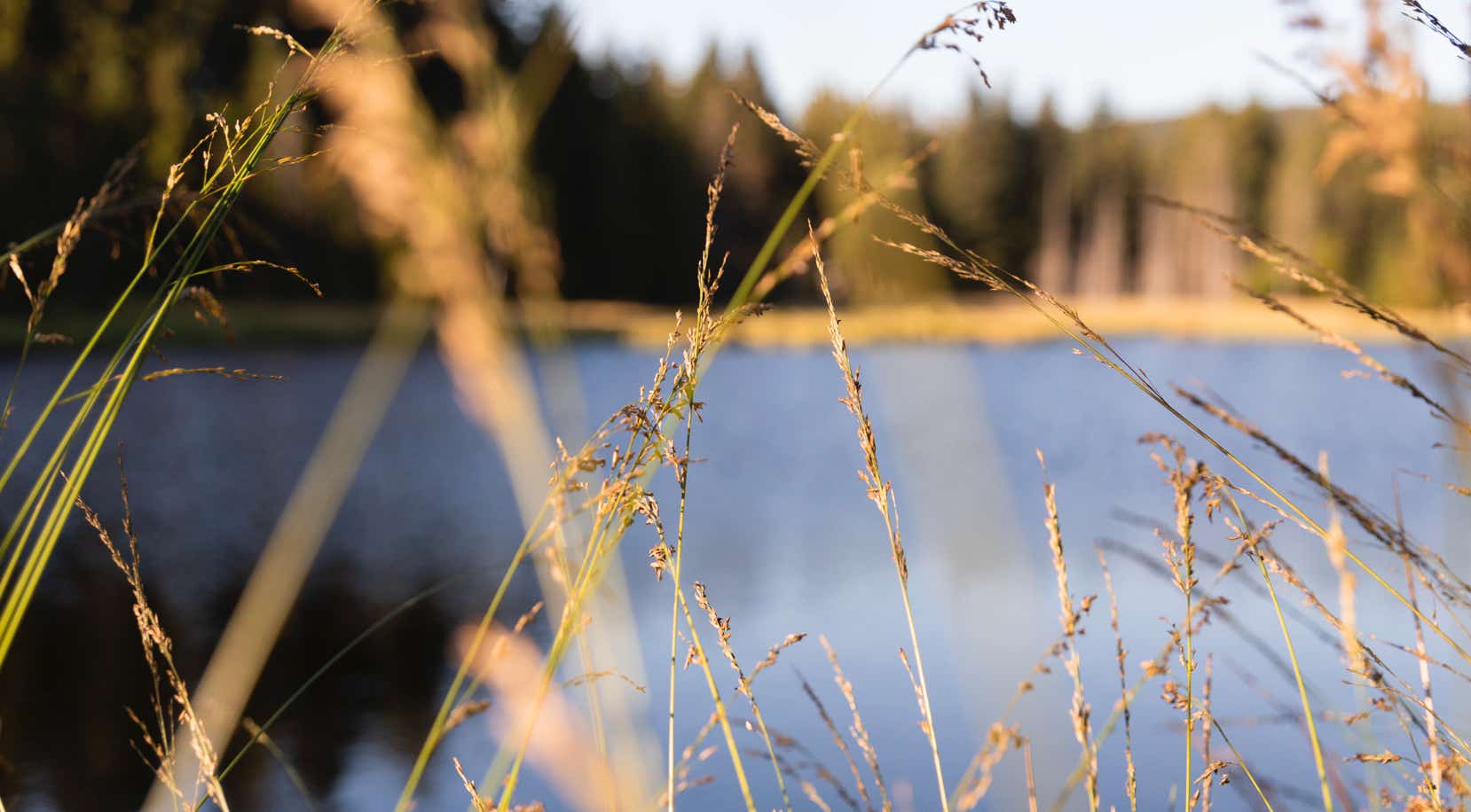 Franziska Grüble - Fotograf/in Burgstetten